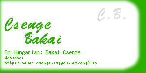 csenge bakai business card